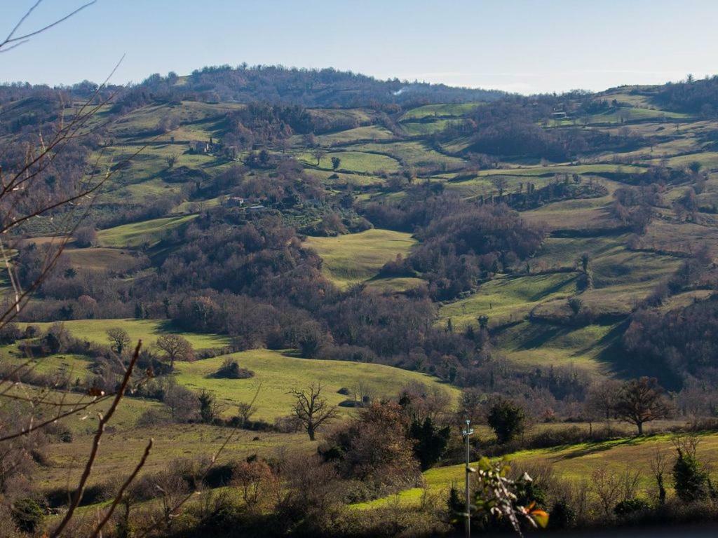 Le Casette Country House Petricci Exterior foto